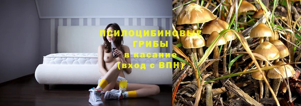 эйфоретик Верхний Тагил